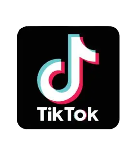 TikTok Logo